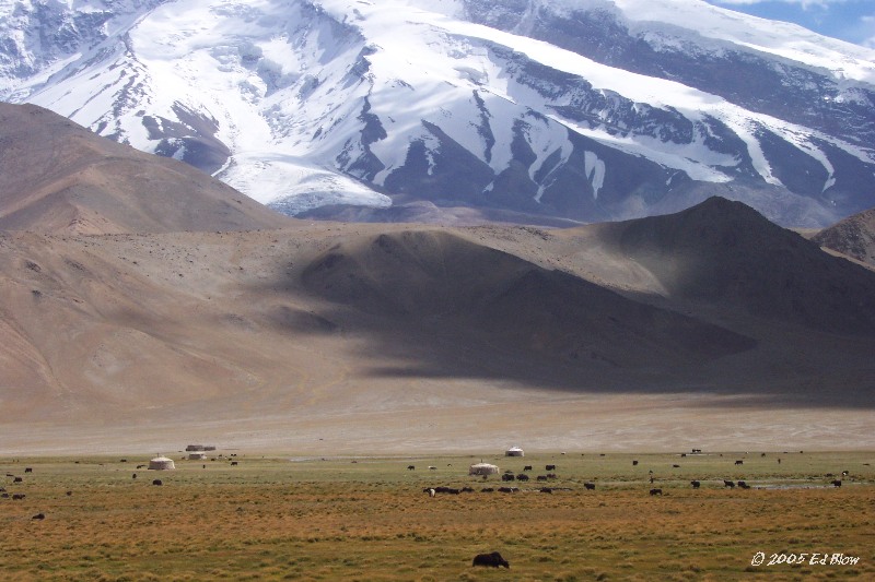 Yak & Yurt.jpg - Karakoram Highway